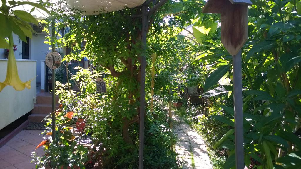 B&B Mare E Sole Brindisi Esterno foto