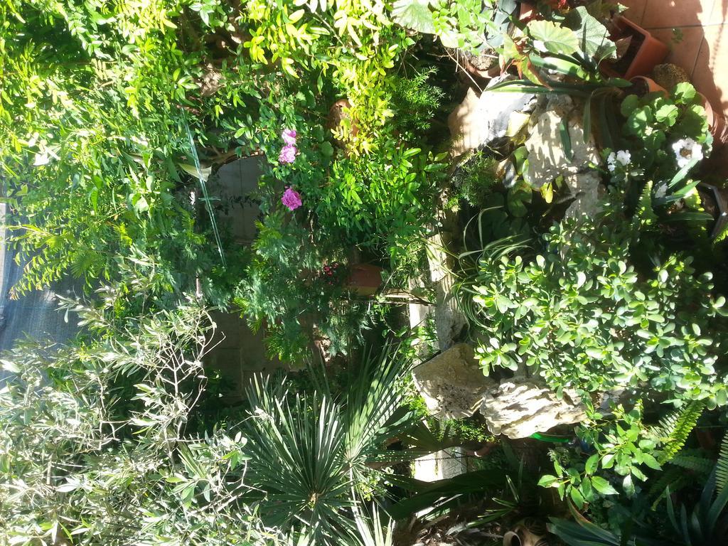 B&B Mare E Sole Brindisi Esterno foto